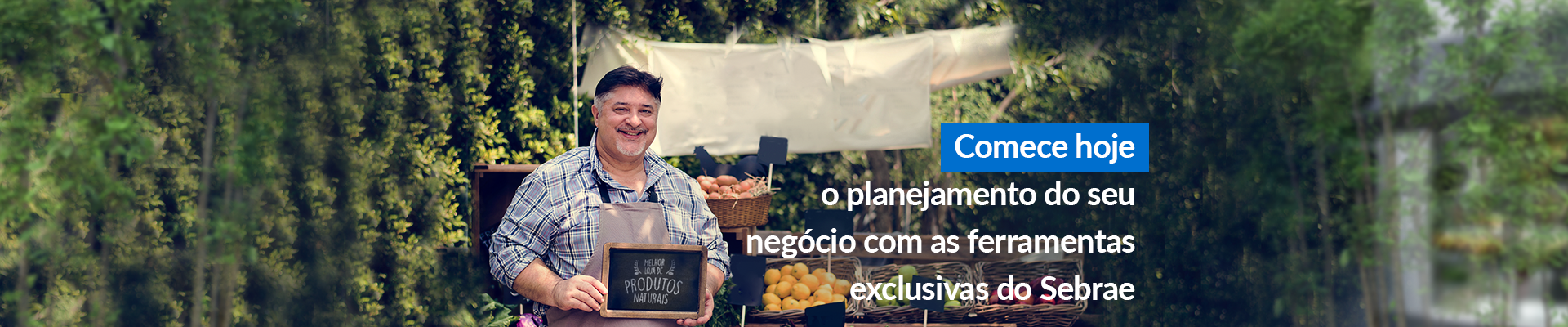 Imagem de destaque
